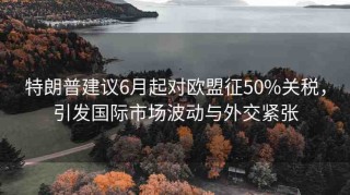 特朗普建議6月起對(duì)歐盟征50%關(guān)稅，引發(fā)國(guó)際市場(chǎng)波動(dòng)與外交緊張
